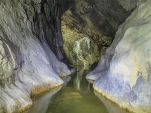 Pijat Reflexi 45 Menit