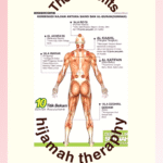the benefits hijamah therapy