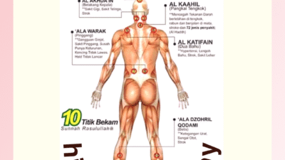 the benefits hijamah therapy